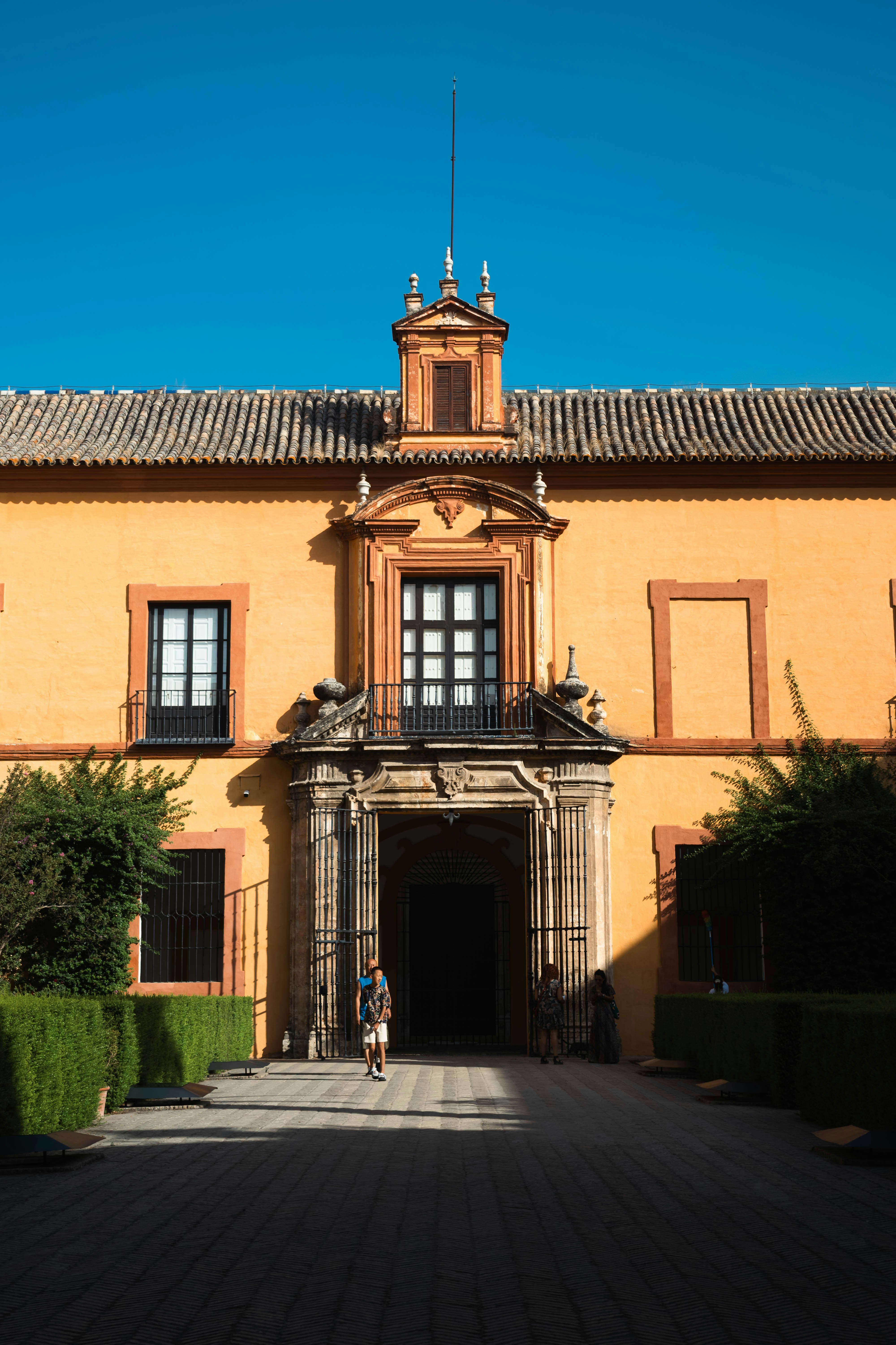 Principales 3 expertos en aplicaciones a medida en Alcázar de San Juan