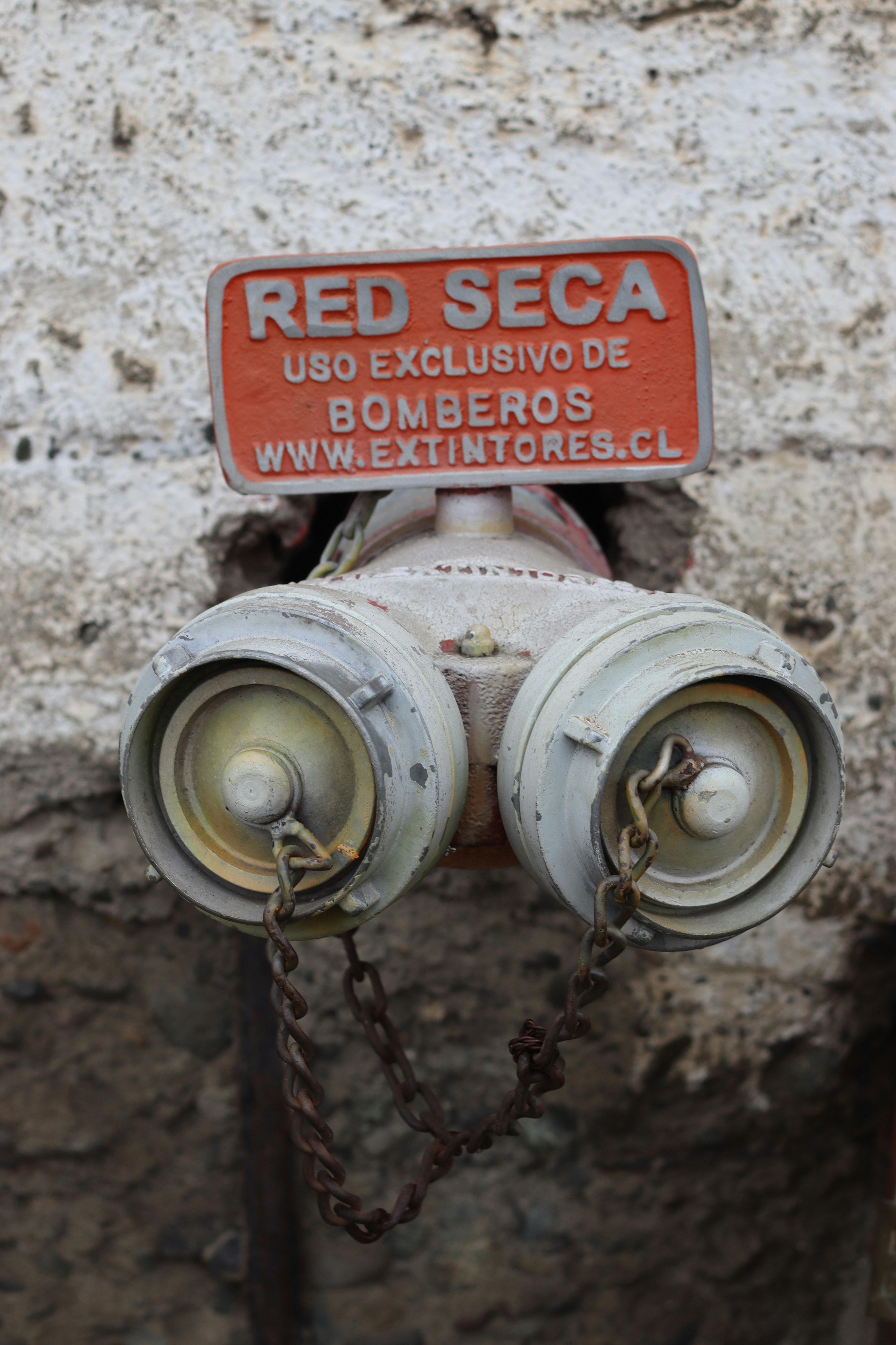 De vuelta a reparar: Una red de desruido mínima para la detección de anomalías en series temporales