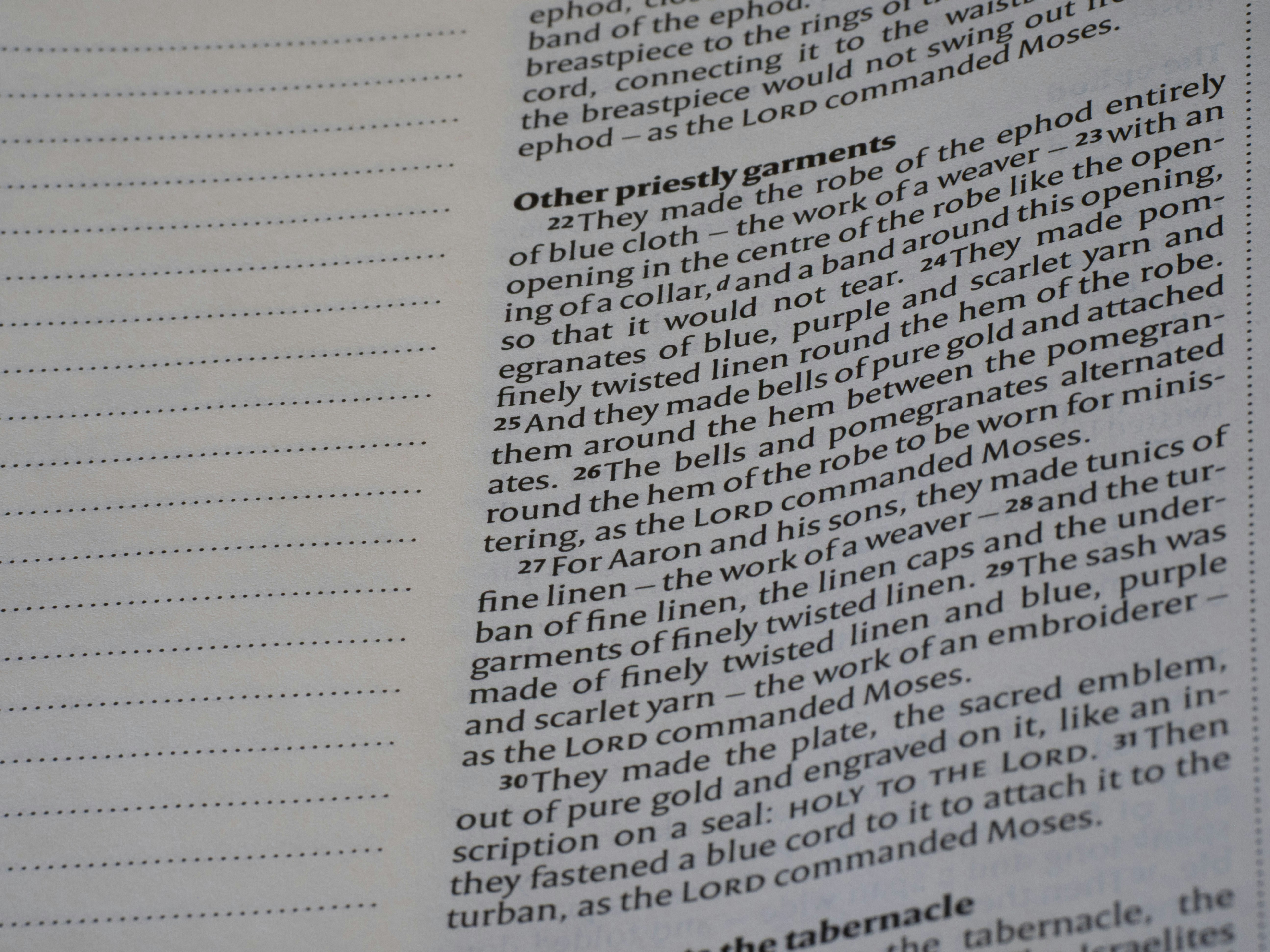 La guía definitiva para encontrar información centralizada en un solo sistema en Elche