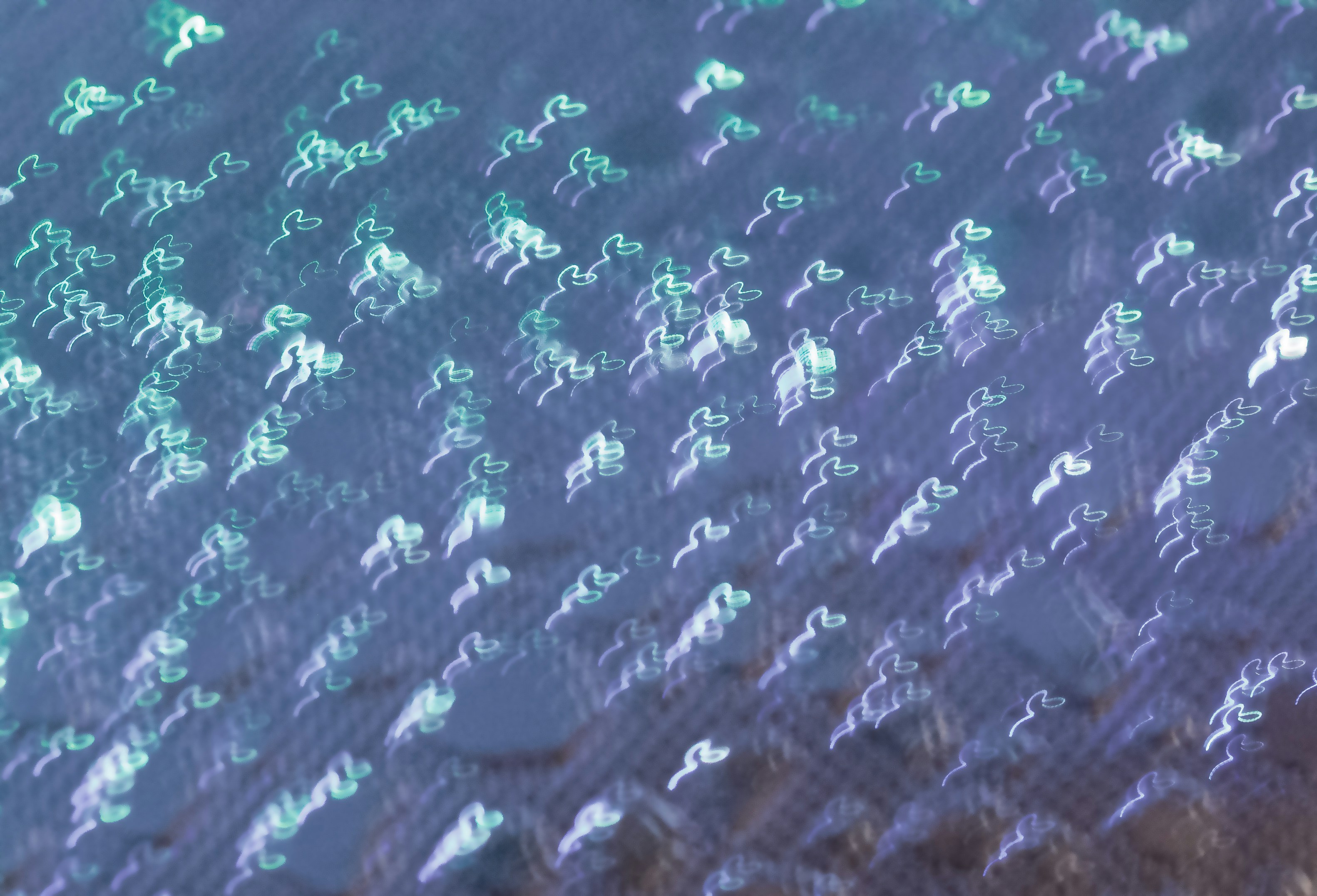 Comprensión de los usuarios sintéticos y los datos sintéticos: el futuro de la investigación de mercado impulsada por IA