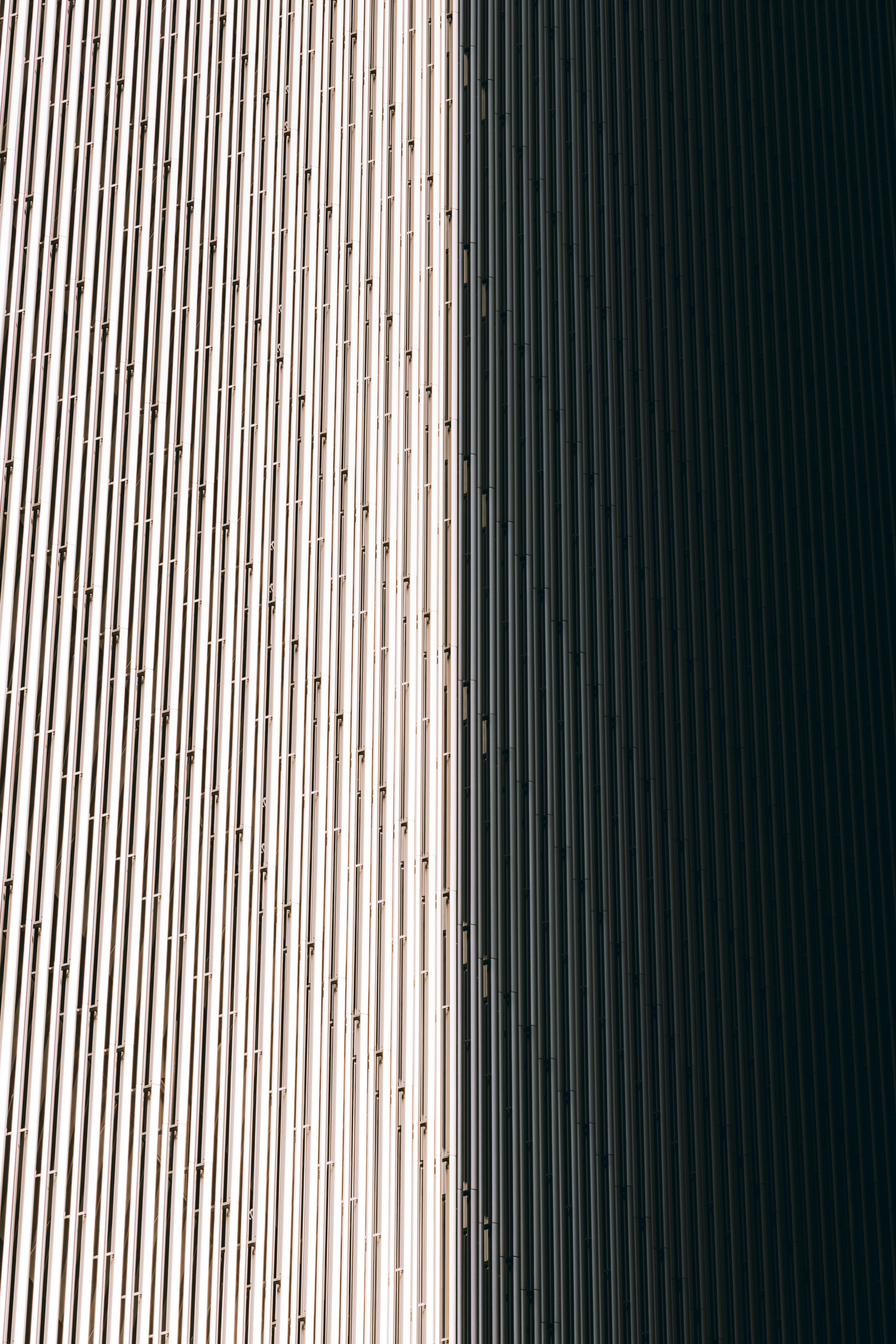 Comparación: software personalizado de alto rendimiento vs Fuera de la estantería: ¿Cuál es mejor para las startups?