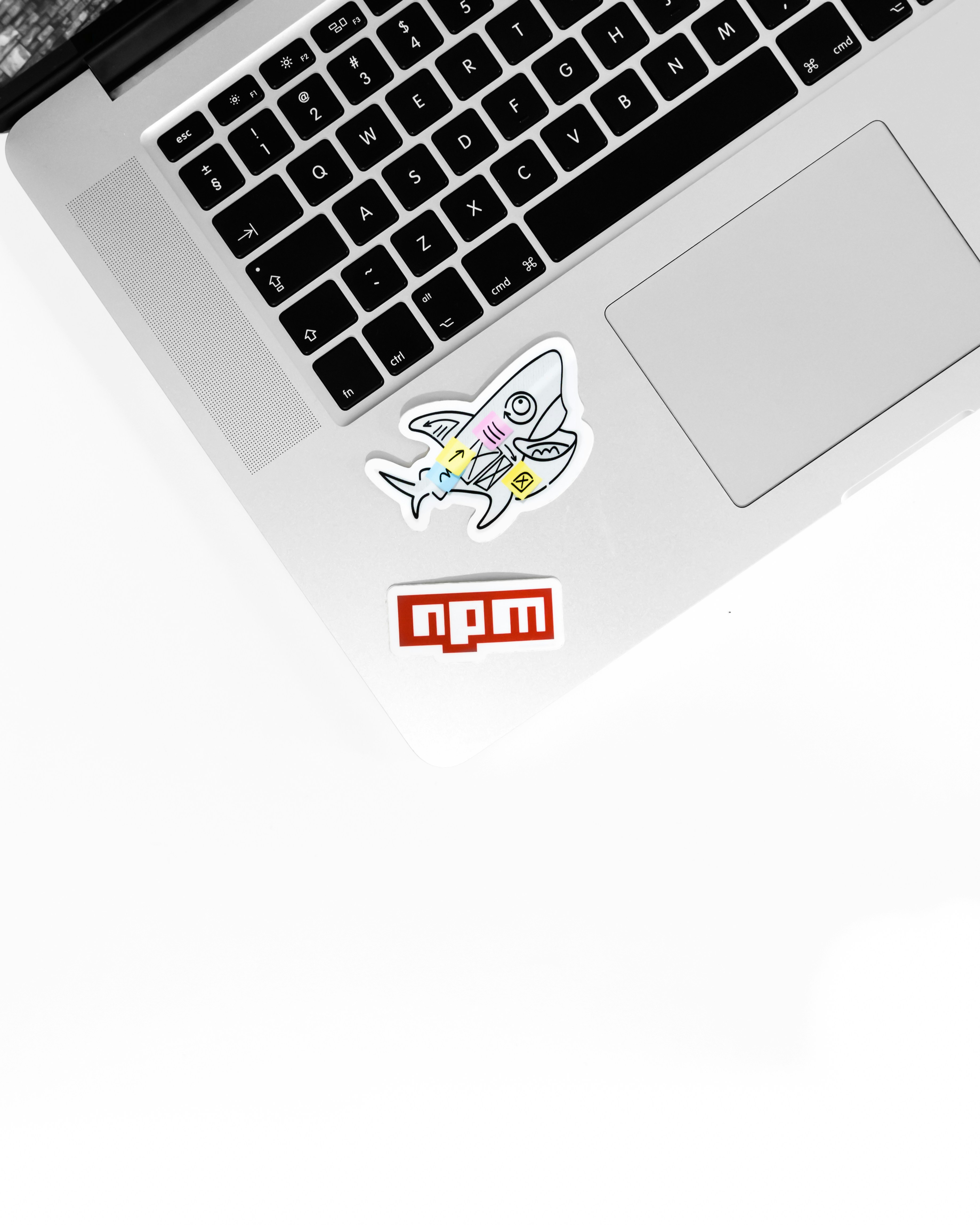Verificación instantánea de nombres de paquetes NPM y nombres de usuario de GitHub