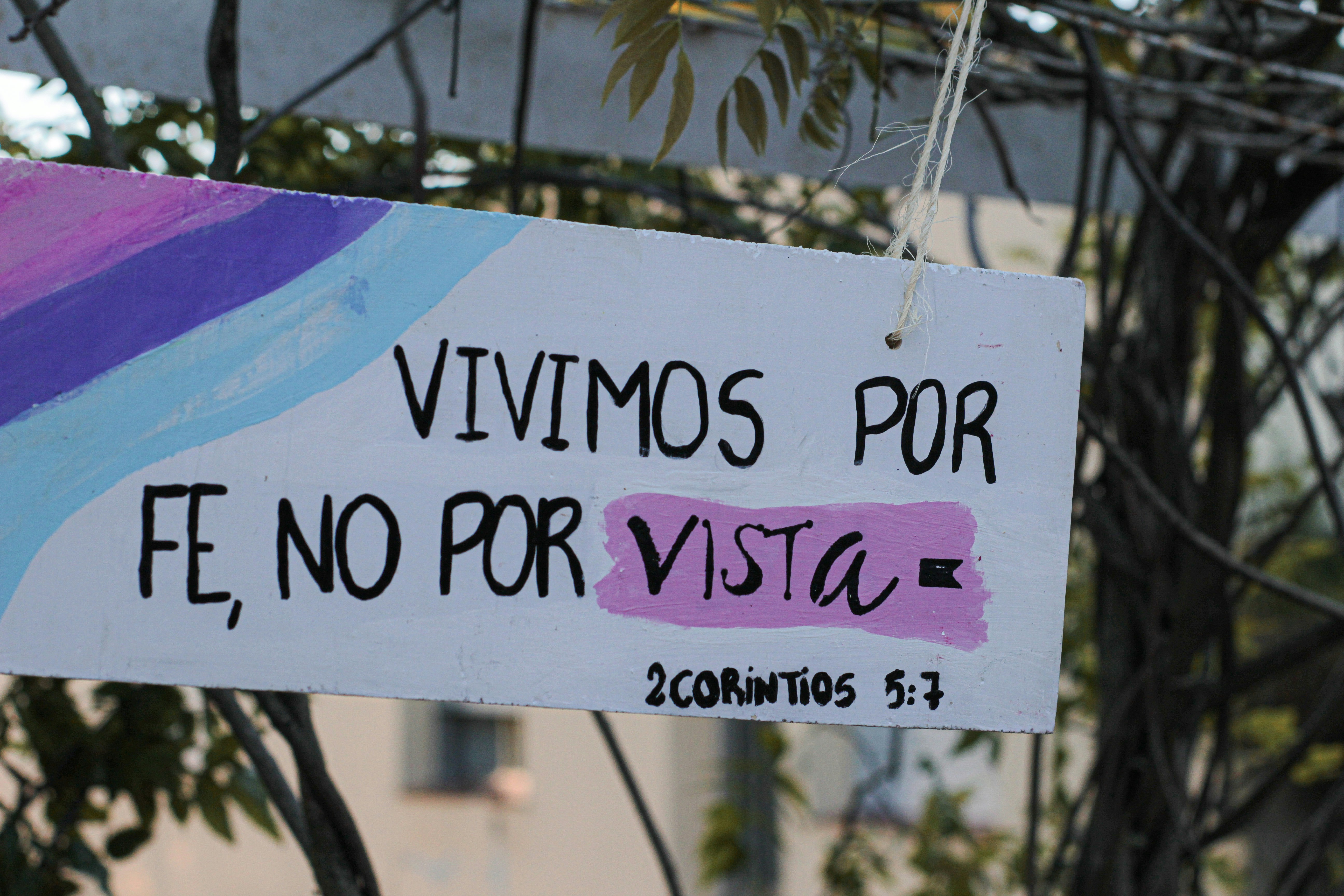 Viernes Cinco — 15 de mayo de 2026