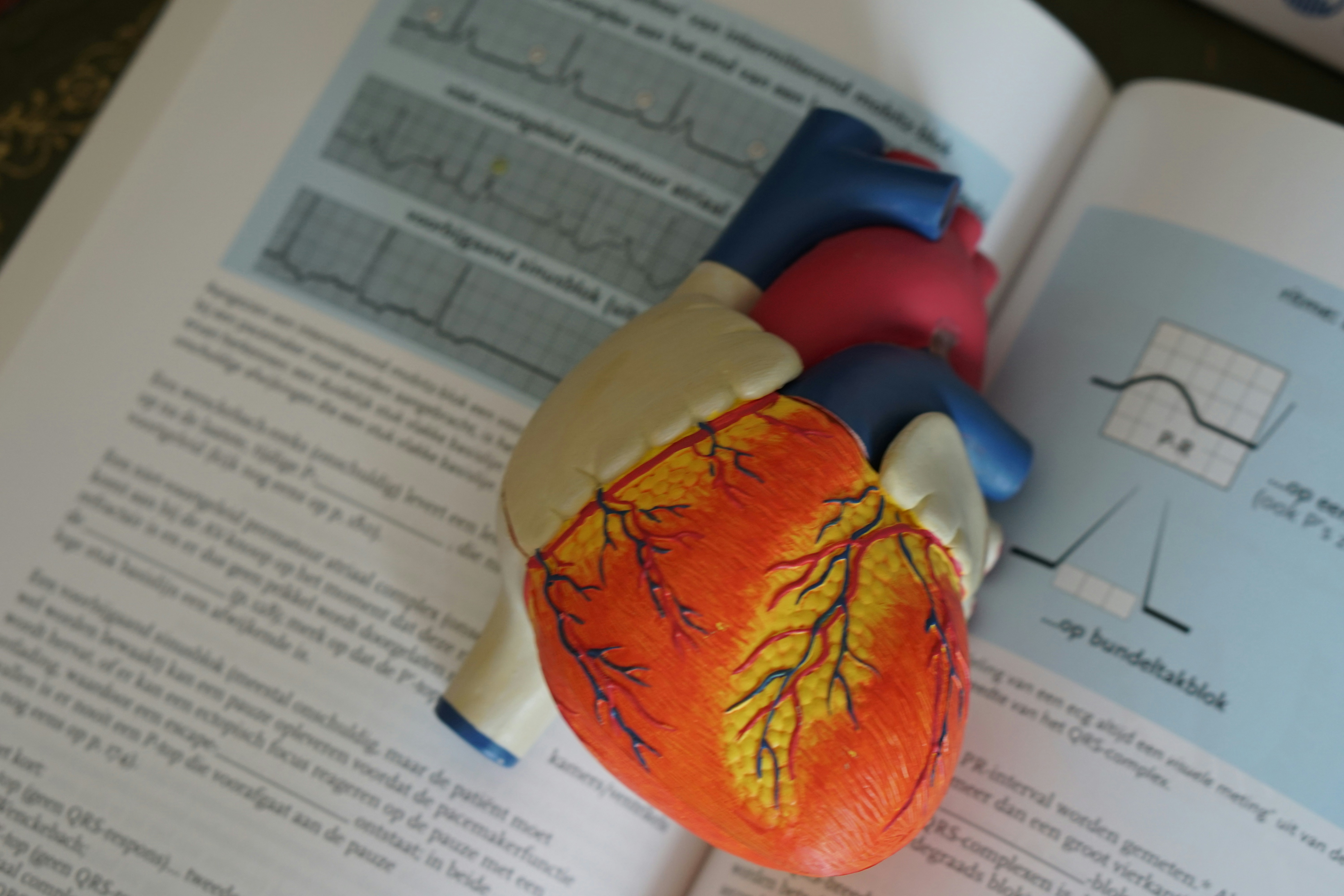 Aprendizaje por Transferencia para Vinculación de Terminología en FHIR