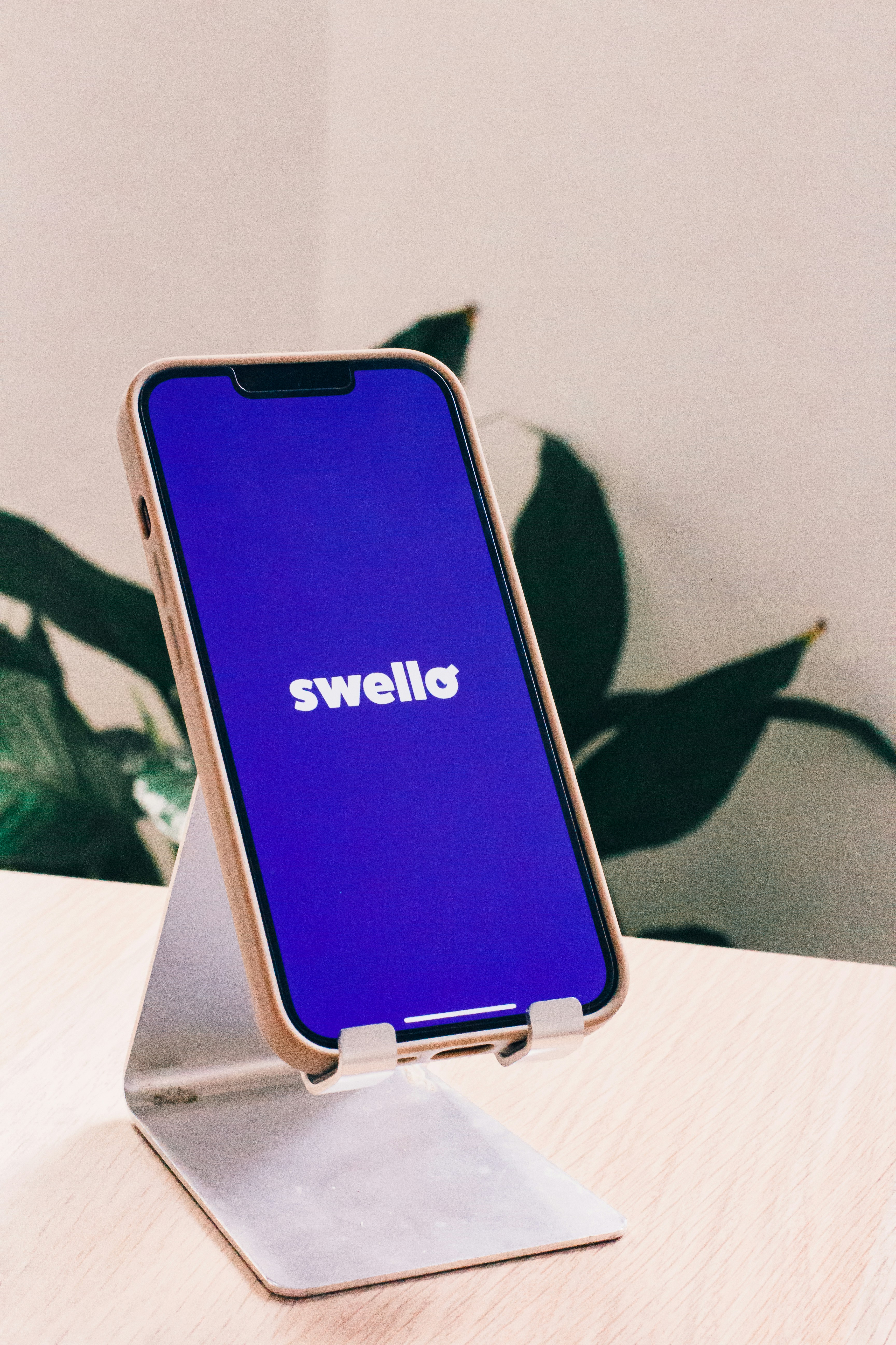 ¿Cuánto cobra Webel por software de aplicación personalizado?